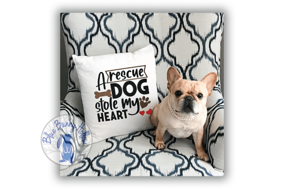 A Rescue Dog Stole My Heart: Design Review
