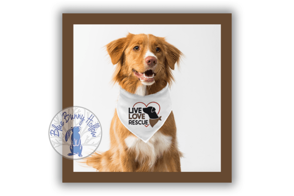 Live Love Rescue: A Craft Fair Embroidery Review